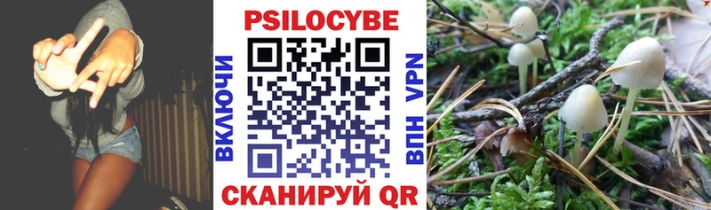 Псилоцибиновые грибы прущие грибы  KRAKEN ONION  Пустошка 